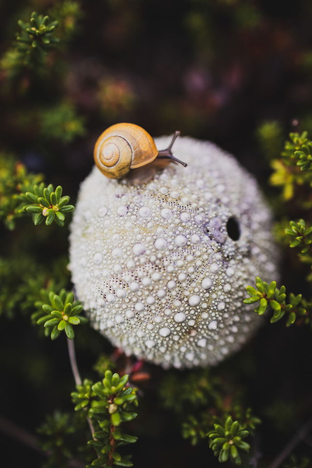 Finding A Way Over
