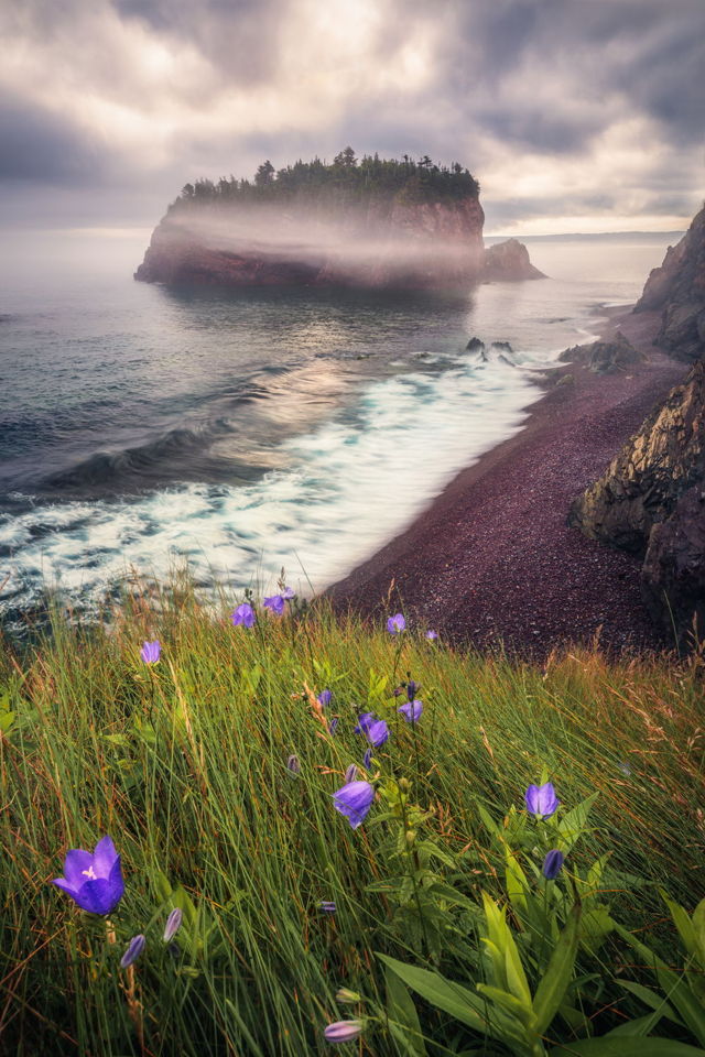 Summer Mist Chance Cove