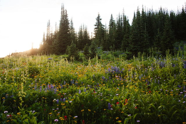 Glow Over the Ridge