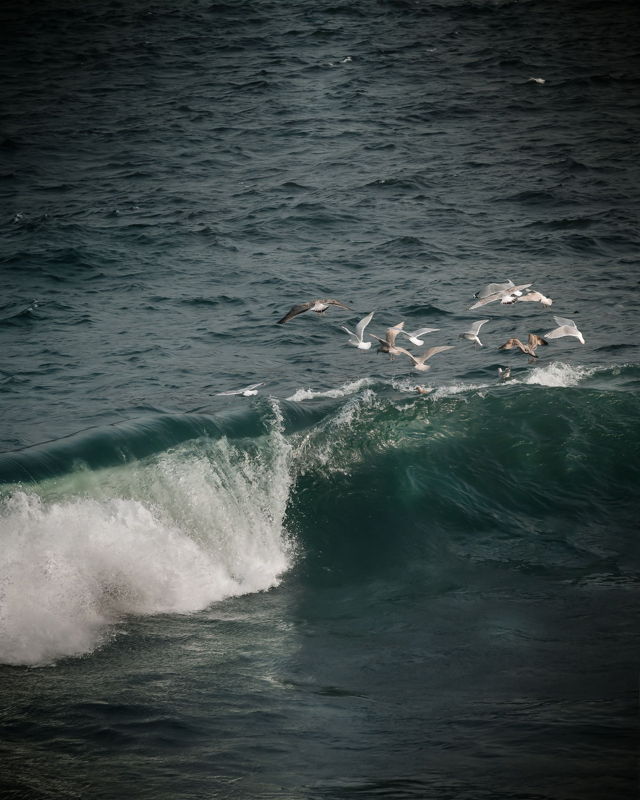 Wave Surfers