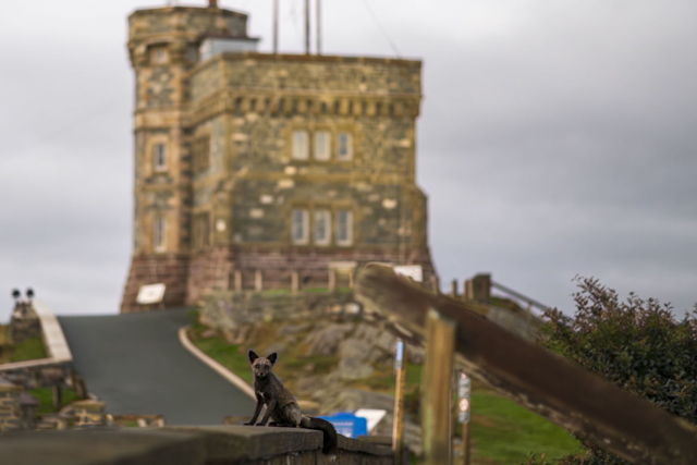 Historic Sites Buff