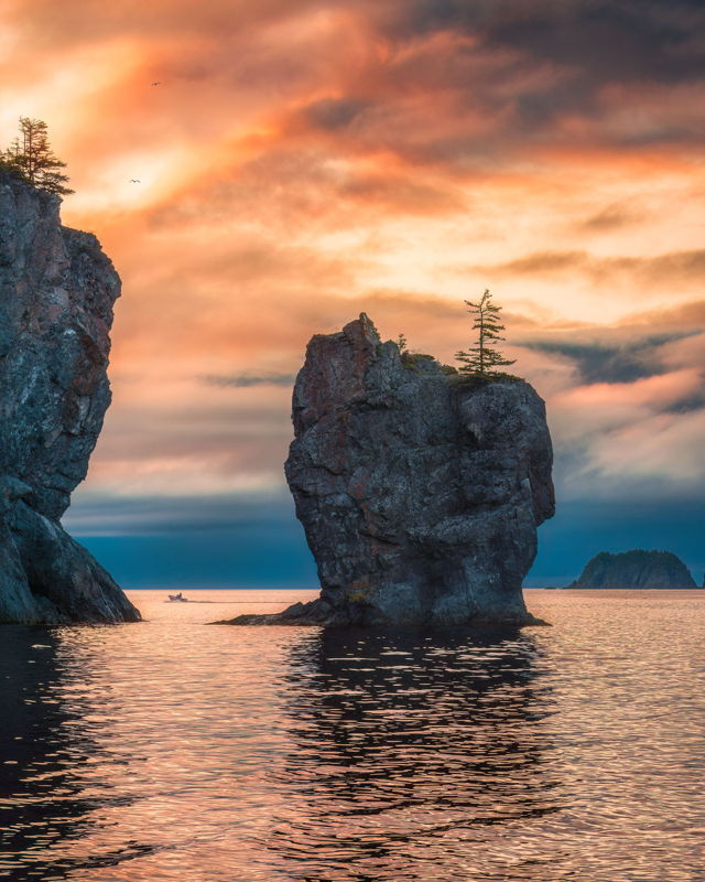Sea Stack Harry's Harbour