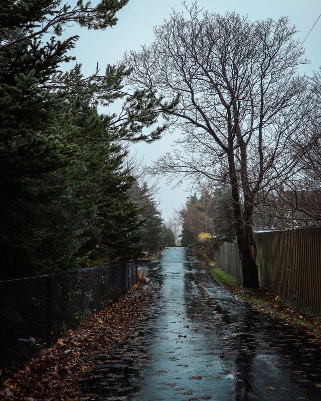After the Rainfall