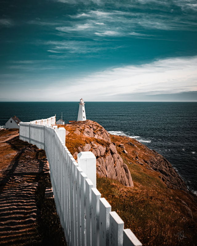 FENCES