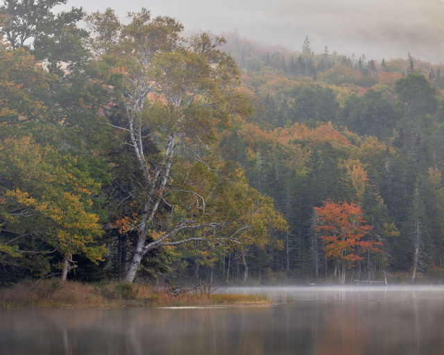 Whispers of Autumn