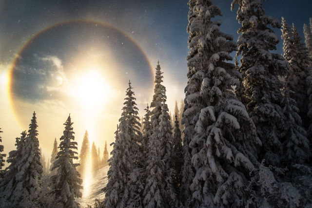 Sun Dog
