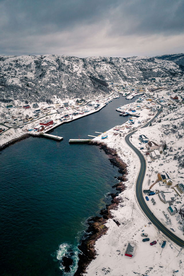 Road into Petty Harbour