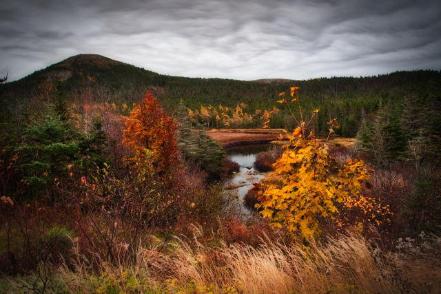 Autumn beauty.