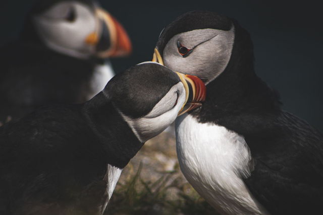 Necking