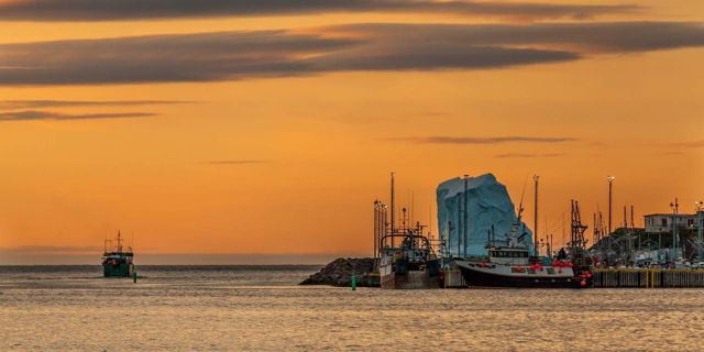 Early Rise - St. John's