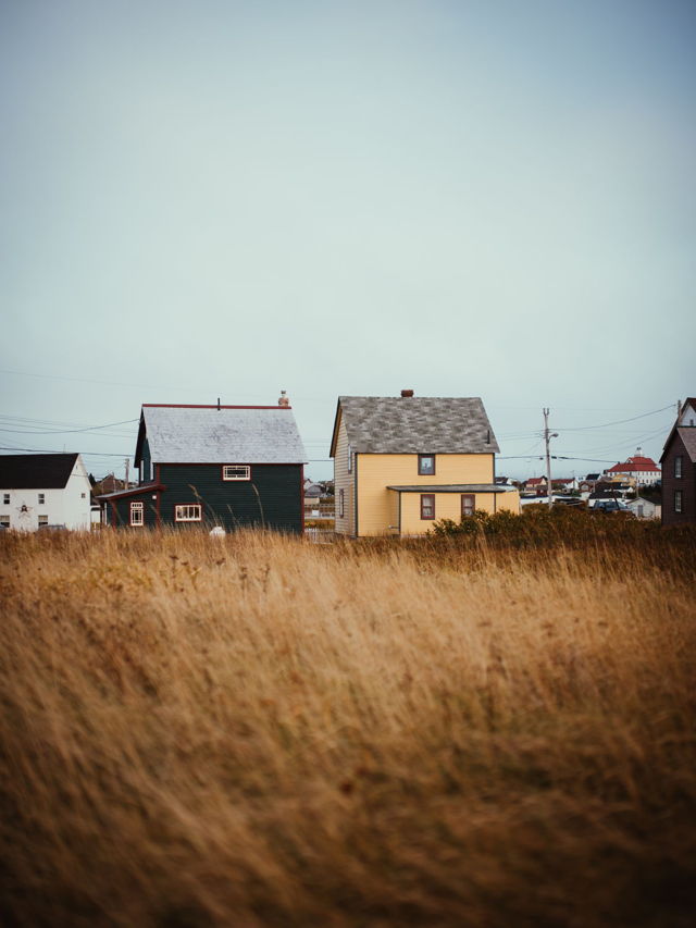 October in the Tall Grass