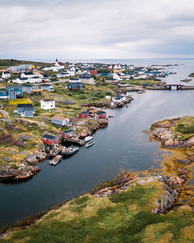 Bright Greens in Greenspond