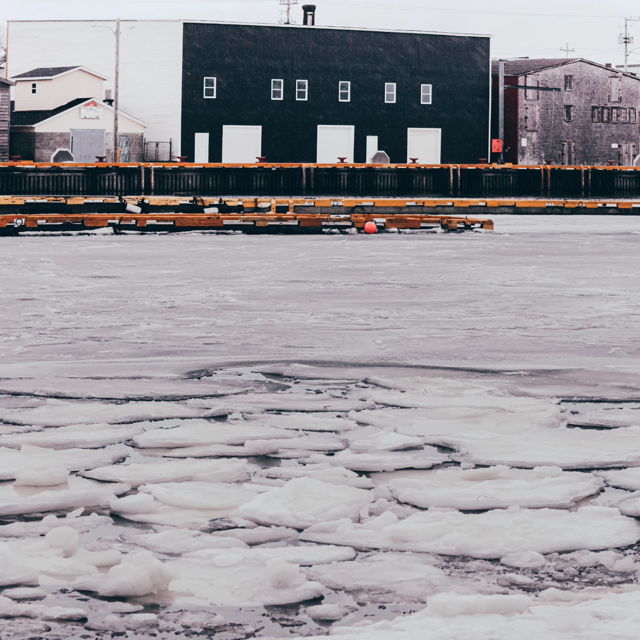 ICE IN THE HARBOR