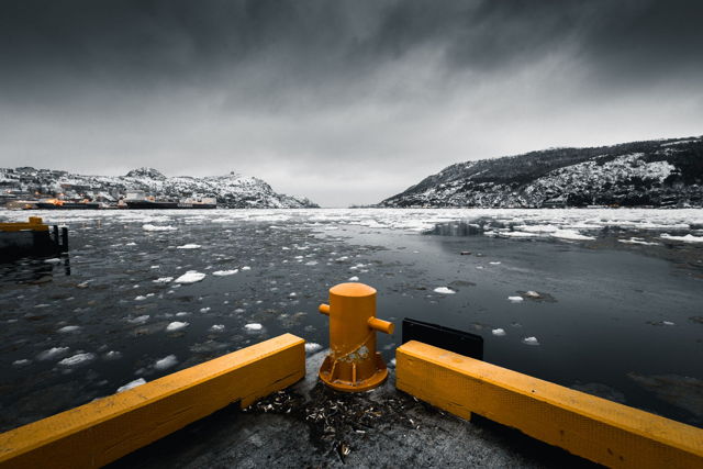 Harbour Ice
