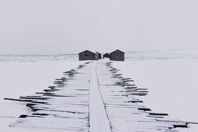 Winter Sheds
