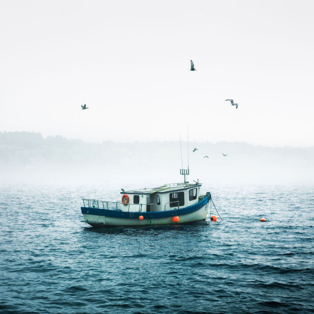 Boat in the Fog, Dildo