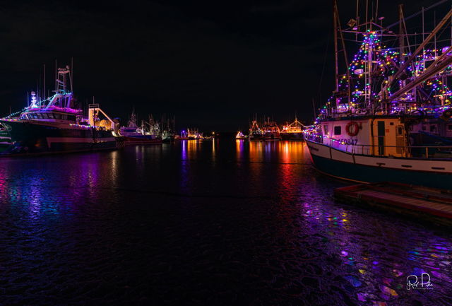 Christmas Lights in Port de Grave