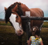 The Horse and Girl