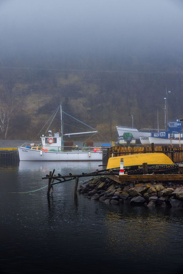 Grey Foggy Morning