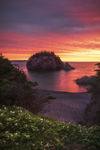 Colours In The Cove