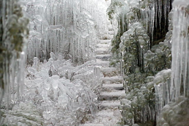 Frozen on Stiles Cove path