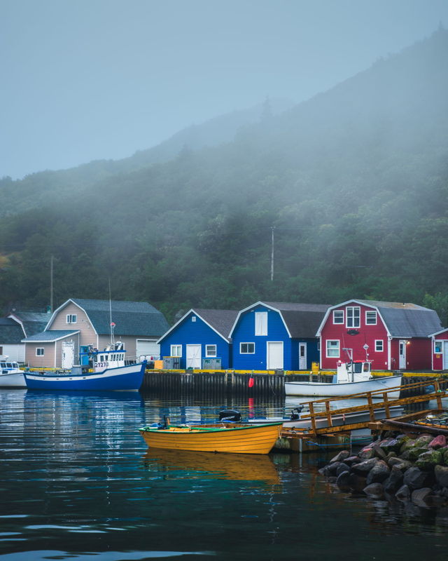 Foggy Day Petty Harbour