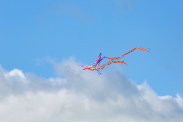 Childs kite