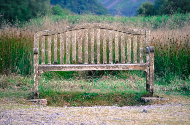 The waiting bench