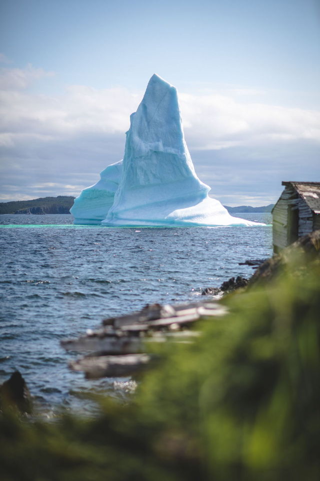 Gillard's Cove Iceberg