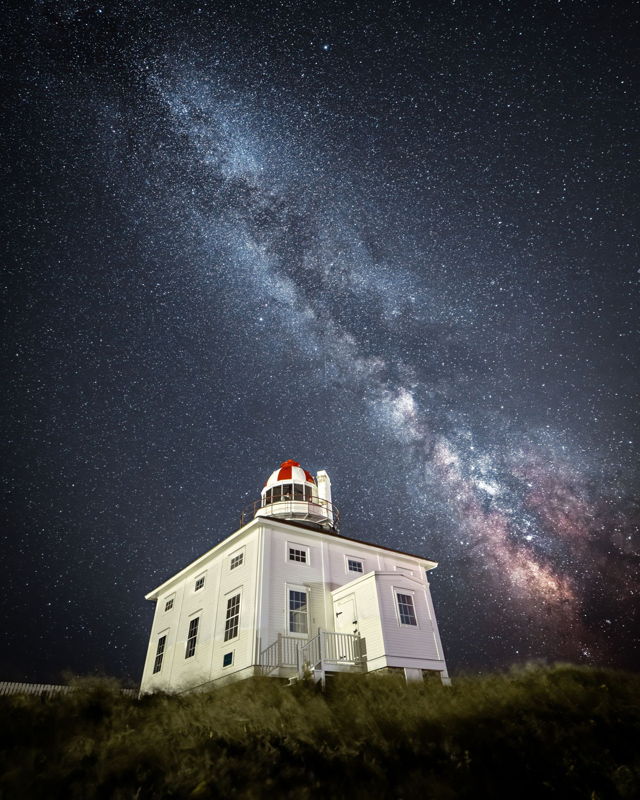 Stars of the Cape