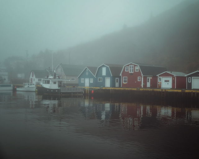 Petty Harbour Mood