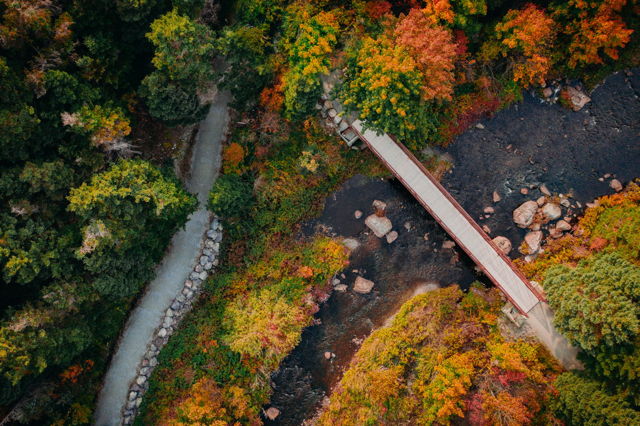 Fall above Bluejay Bridge