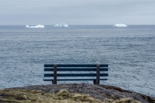 A view from a Petty Harbour bench