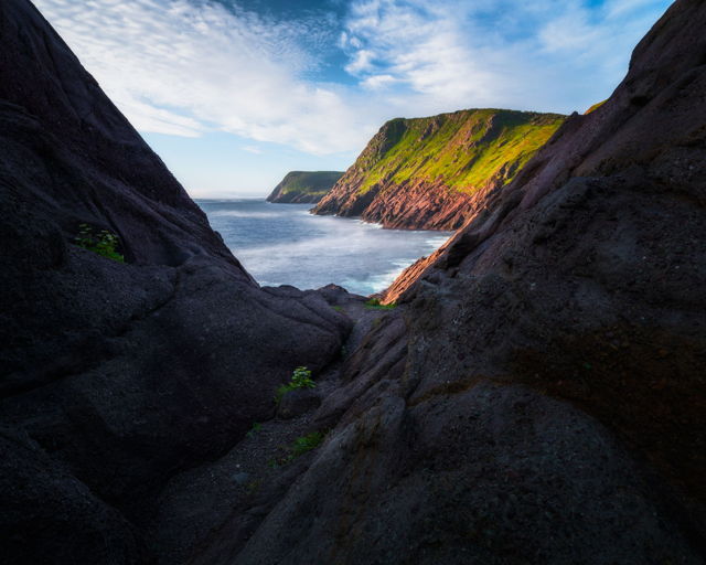 Torbay Point Coastline