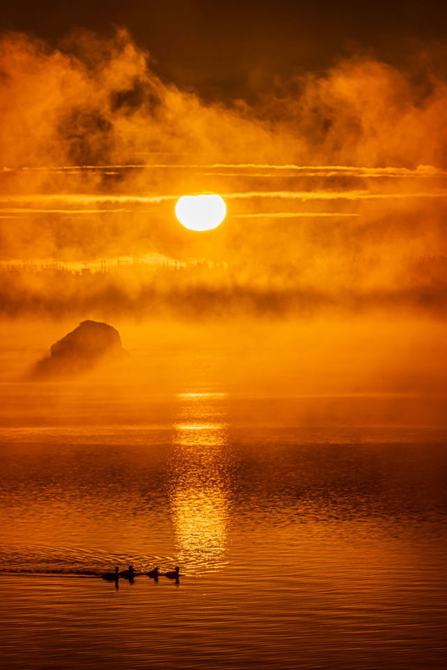 Duckie Sunrise
