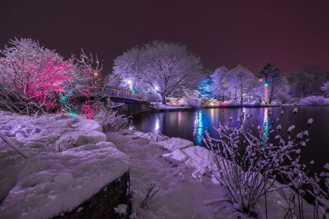 1 Natures Christmas