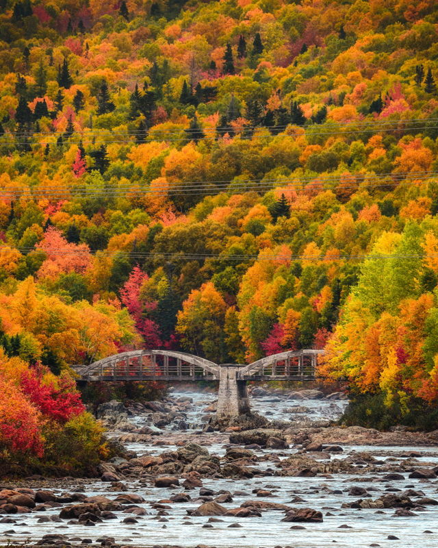 Piper's Hole Autumn Trees