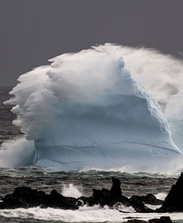 Ferryland Iceberg Splash