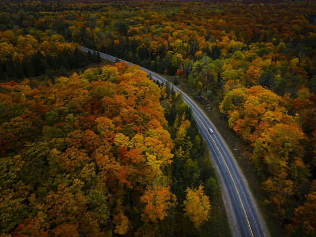 Driving Through Autumn