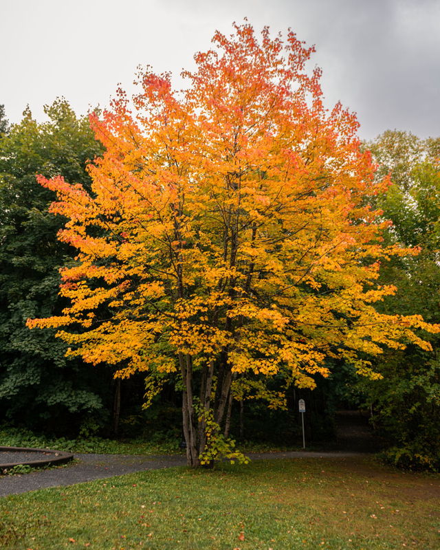 Autumn in full colour