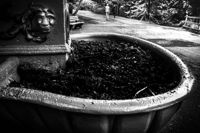 Guardian Of The Trough