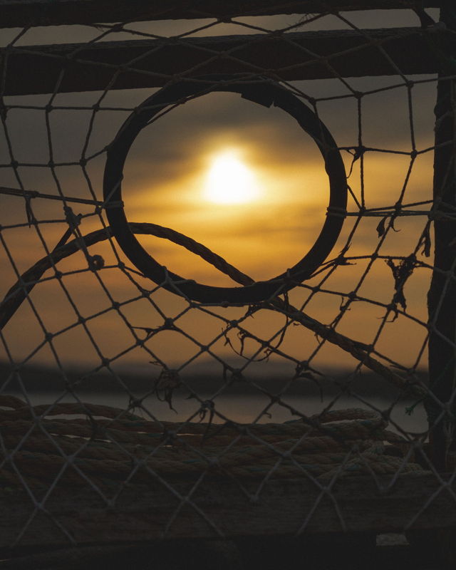Black Hole Sun