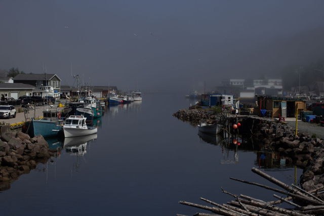 Foggy Harbour