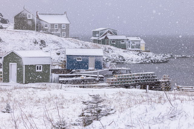 Spring in Newfoundland