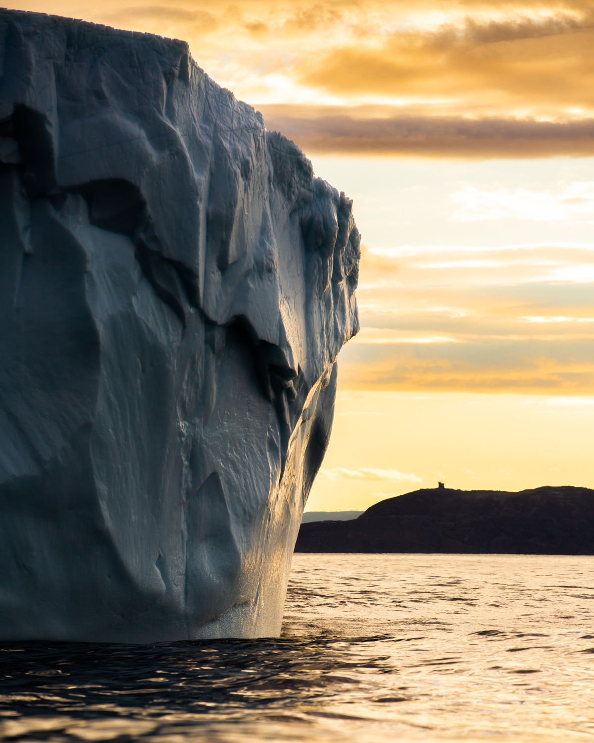 Iceberg Guards St. John's Harbour Tom Cochrane MARKET