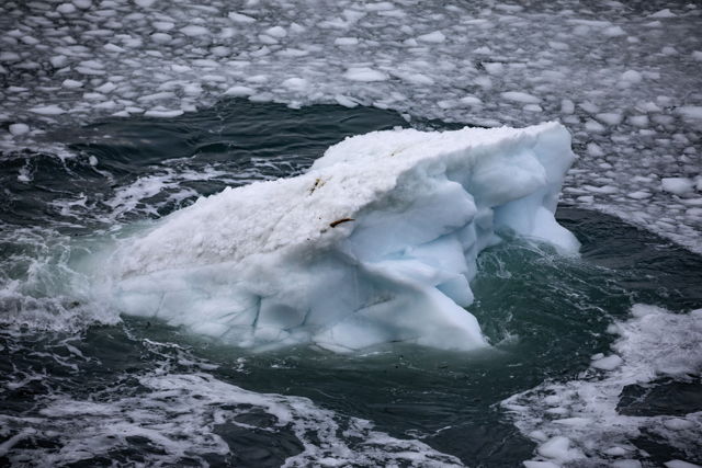 Berg ashore
