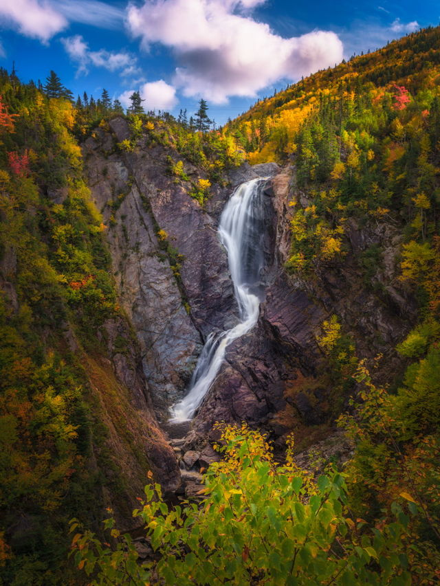 Fall Colours at Steady Brook Falls