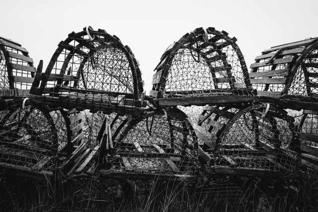 Lobster Pot Skeletons Landscape